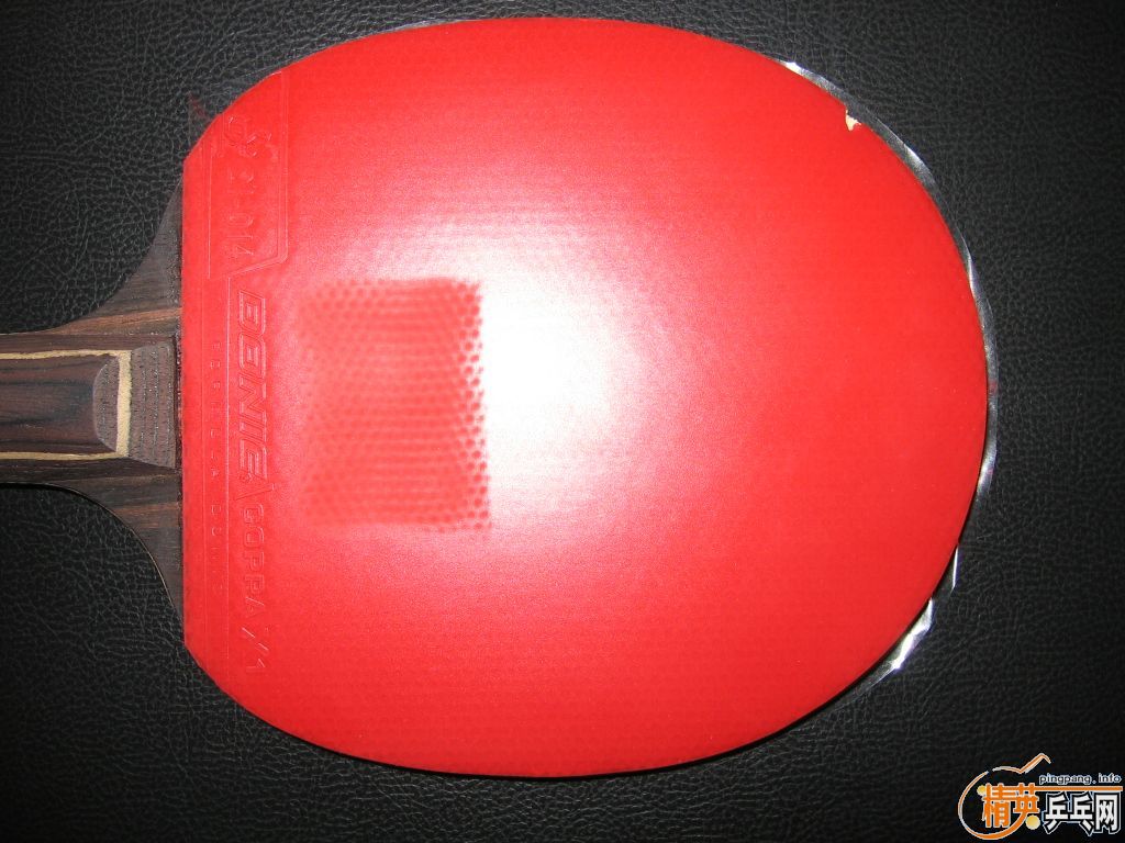 ��˲���X1,Ħ��˹��RS,������ʨ��ͷһ��һ��