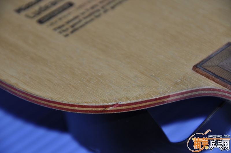 ���鲣������֧����������