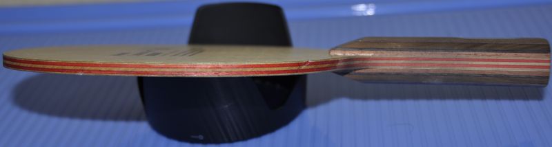 ���鲣������֧����������