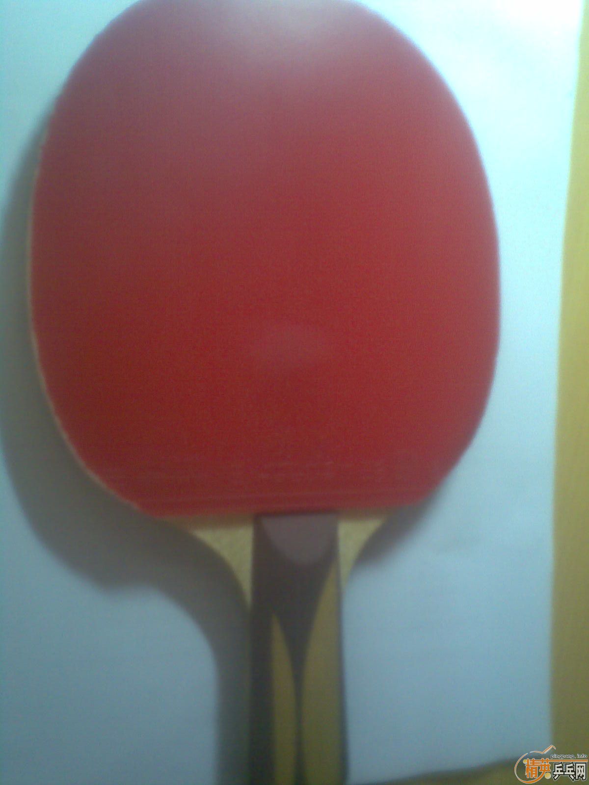 ������+����T2