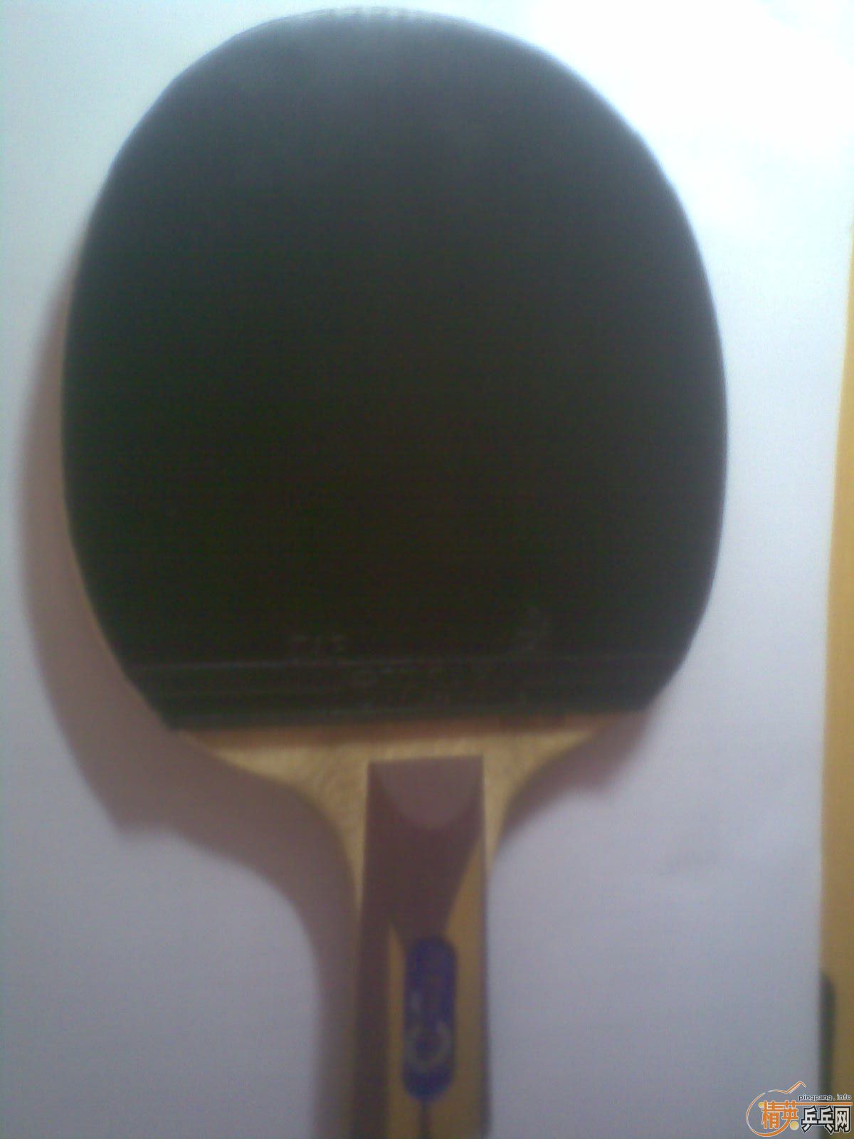 ������+����T2