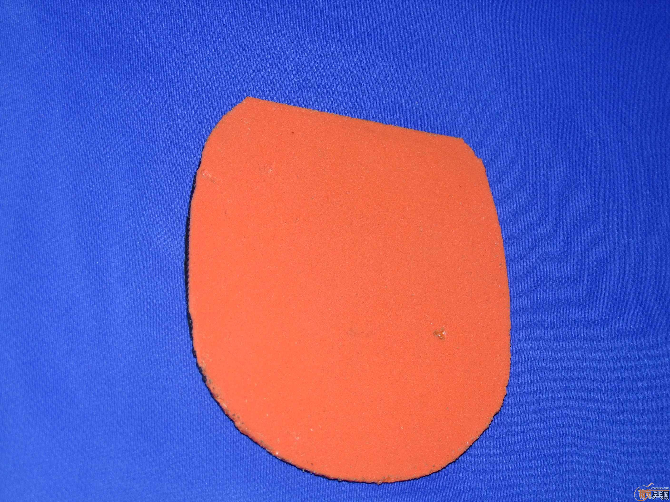 �����ѳ� ��ֱ����T05 T64  ���320��EMS