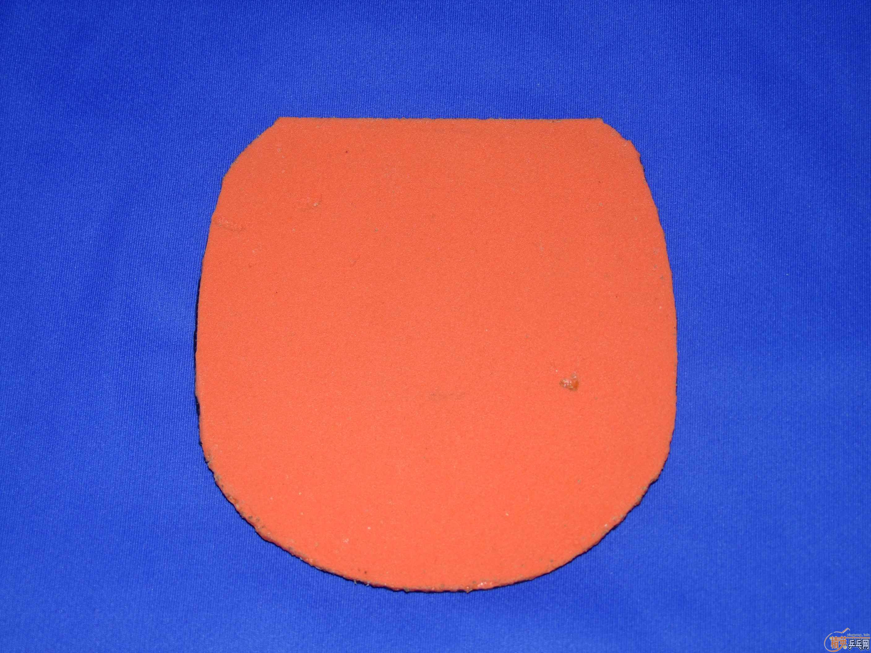 �����ѳ� ��ֱ����T05 T64  ���320��EMS