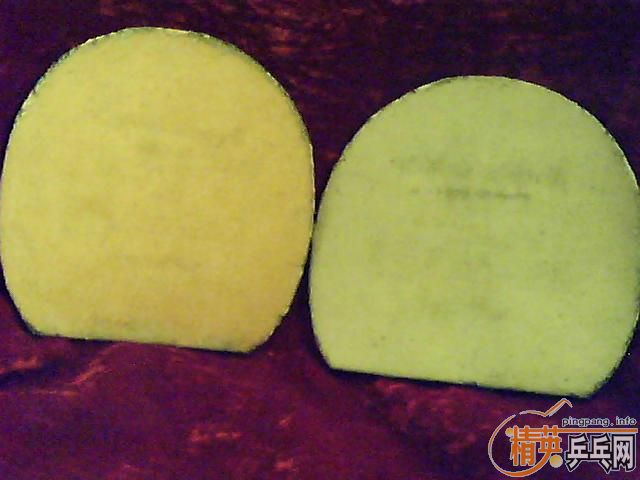 ��ֻ�Ϻ�����������Ǯ