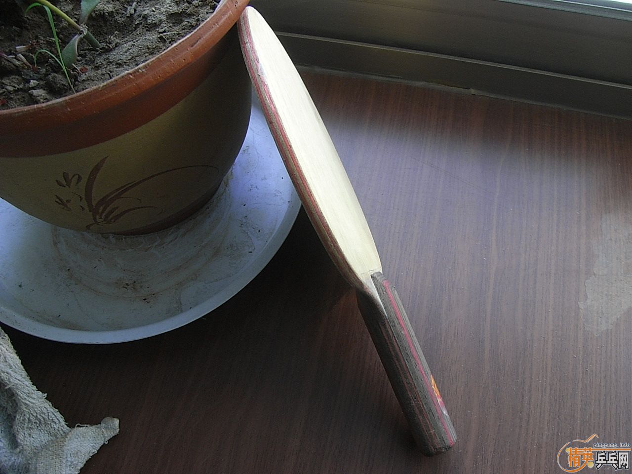 ST�Ʊ�CL+˹�ٿ�NEOS=288Ԫ