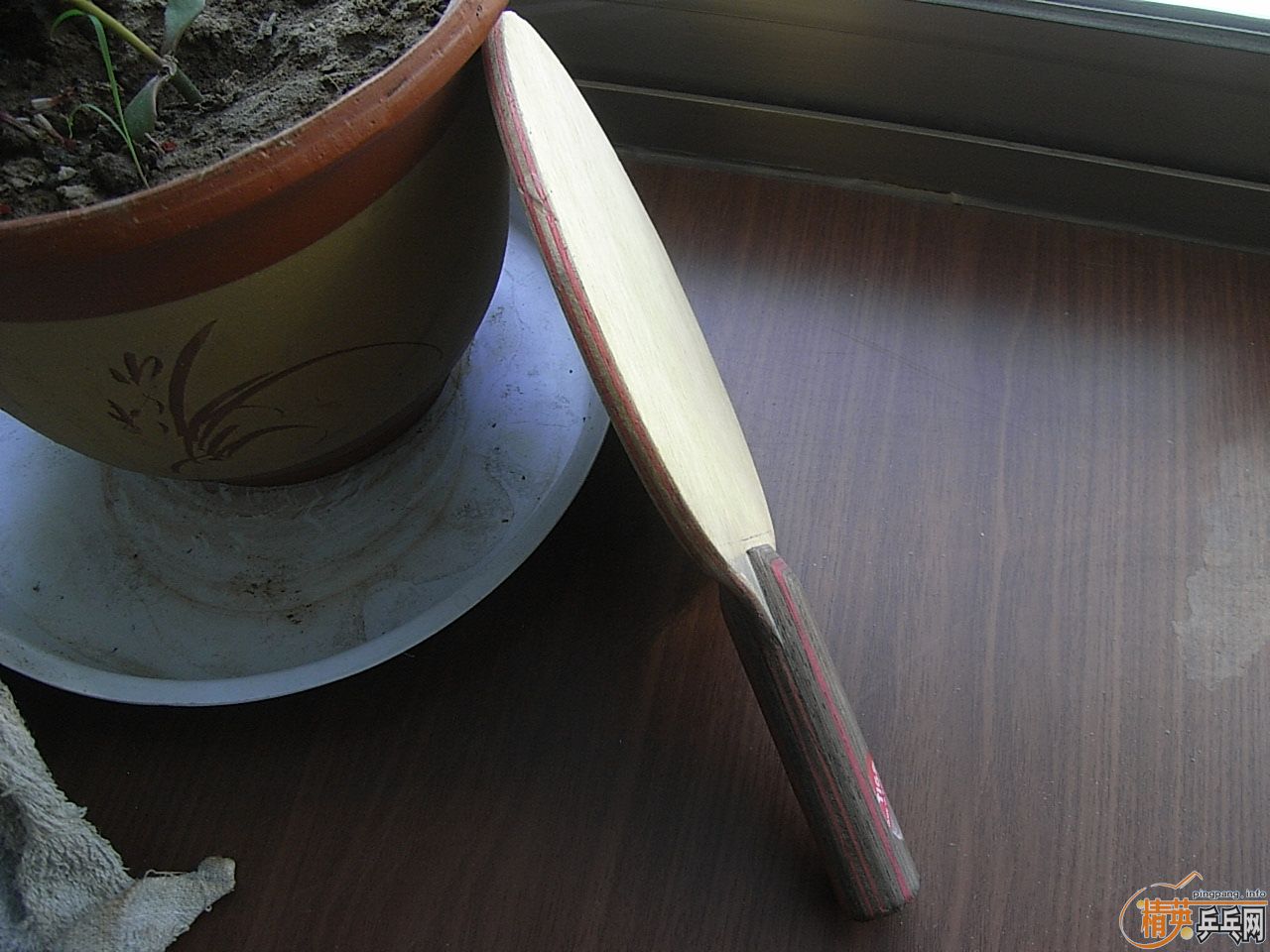 ST�Ʊ�CL+˹�ٿ�NEOS=288Ԫ