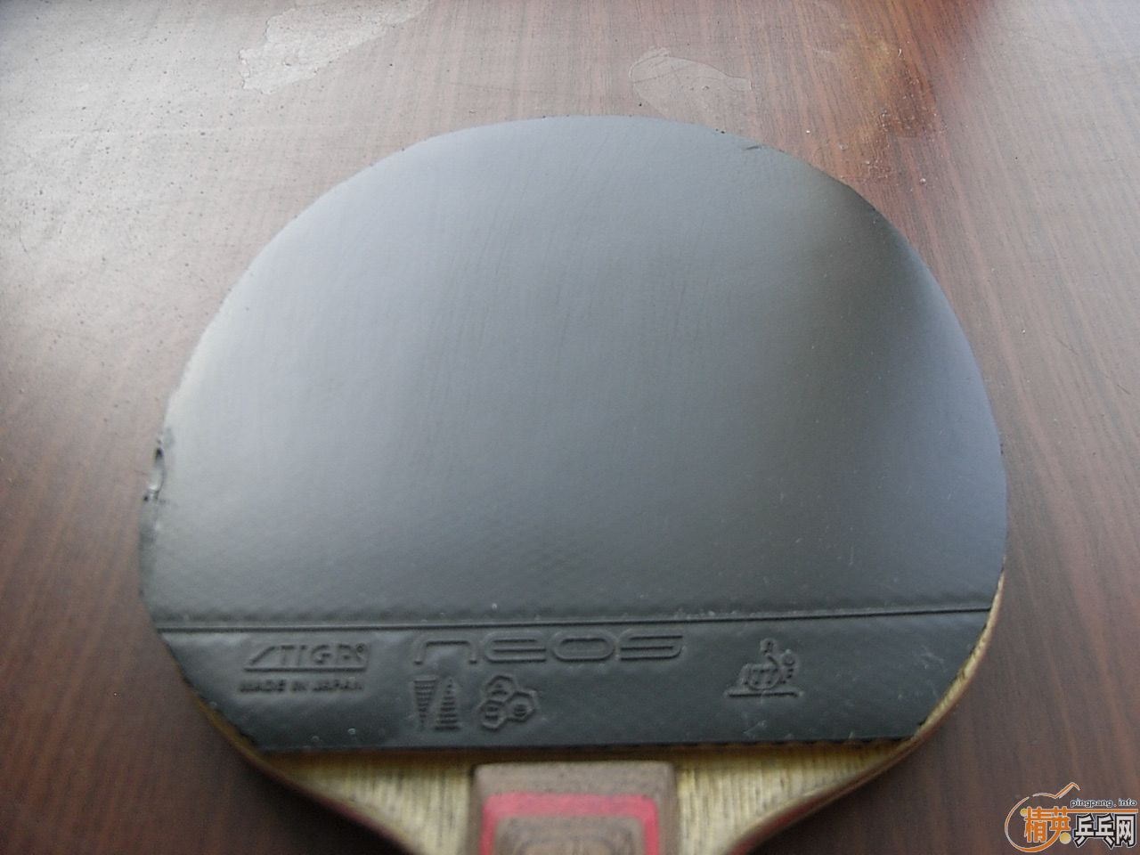 ST�Ʊ�CL+˹�ٿ�NEOS=288Ԫ