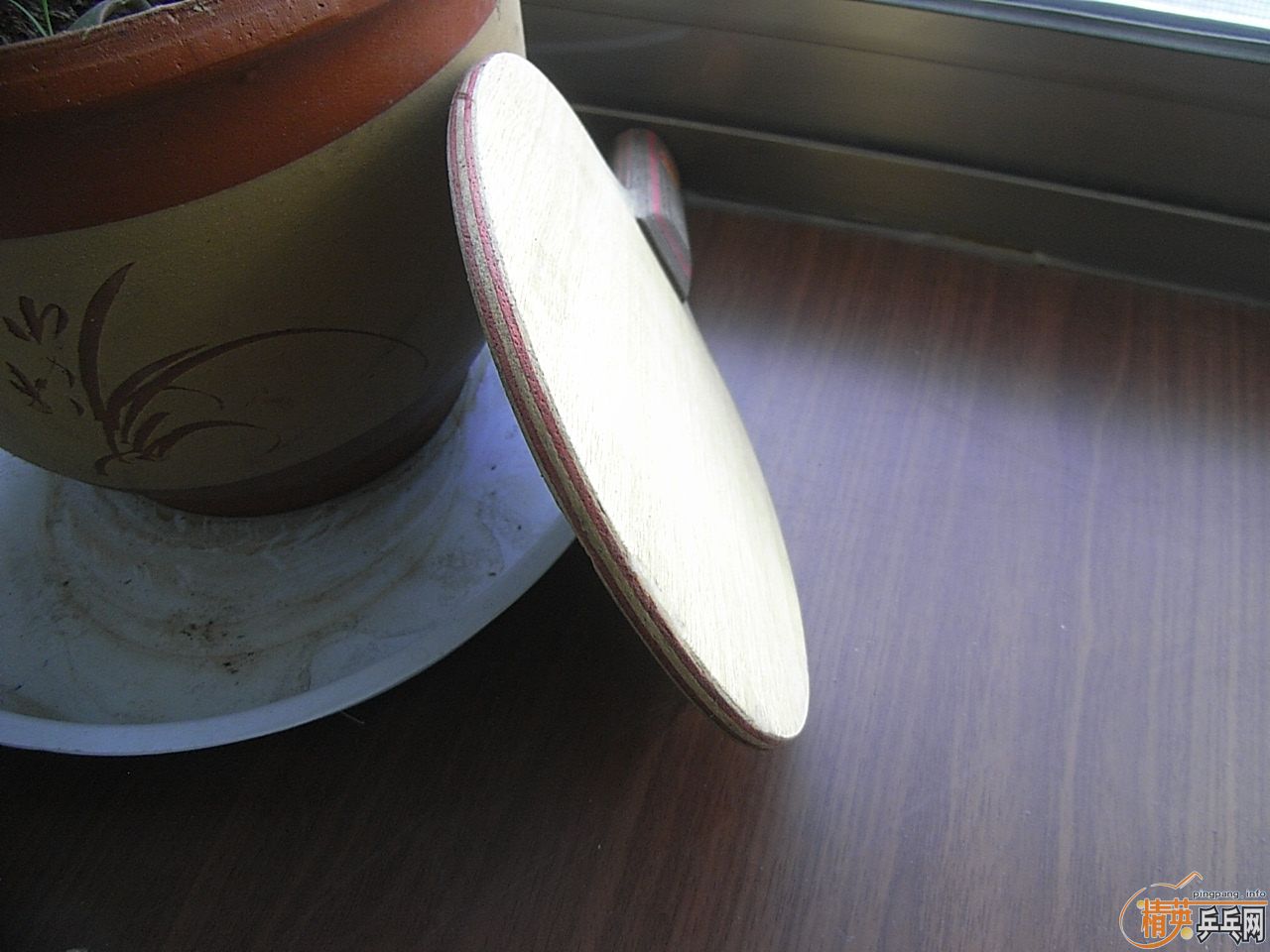 ST�Ʊ�CL+˹�ٿ�NEOS=288Ԫ