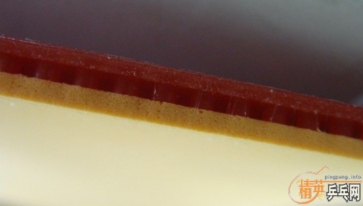 NITTAKU-ANNSORT 54-005������ ADIDAS 105-002���ϴ� BUTTERFLY PAN ASLA ����