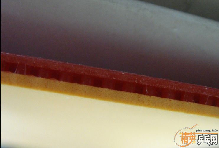 NITTAKU-ANNSORT 54-005������ ADIDAS 105-002���ϴ� BUTTERFLY PAN ASLA ����