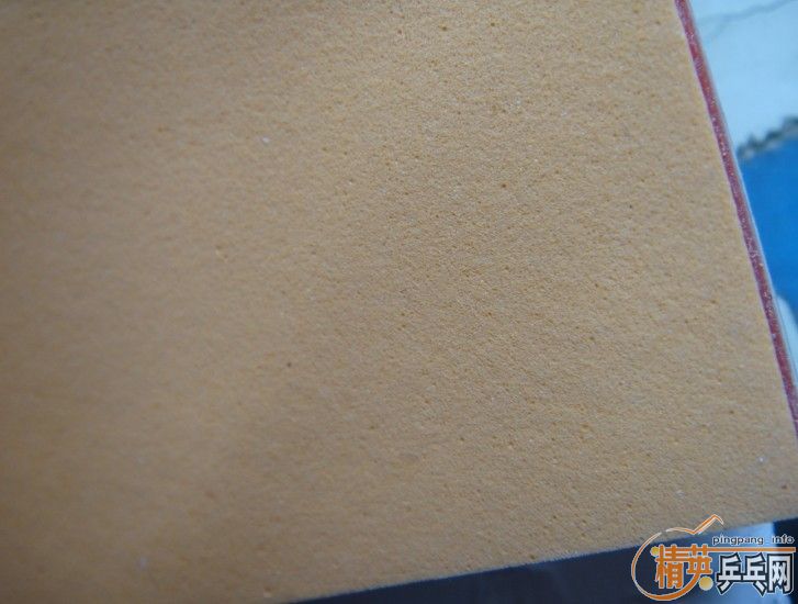 NITTAKU-ANNSORT 54-005������ ADIDAS 105-002���ϴ� BUTTERFLY PAN ASLA ����