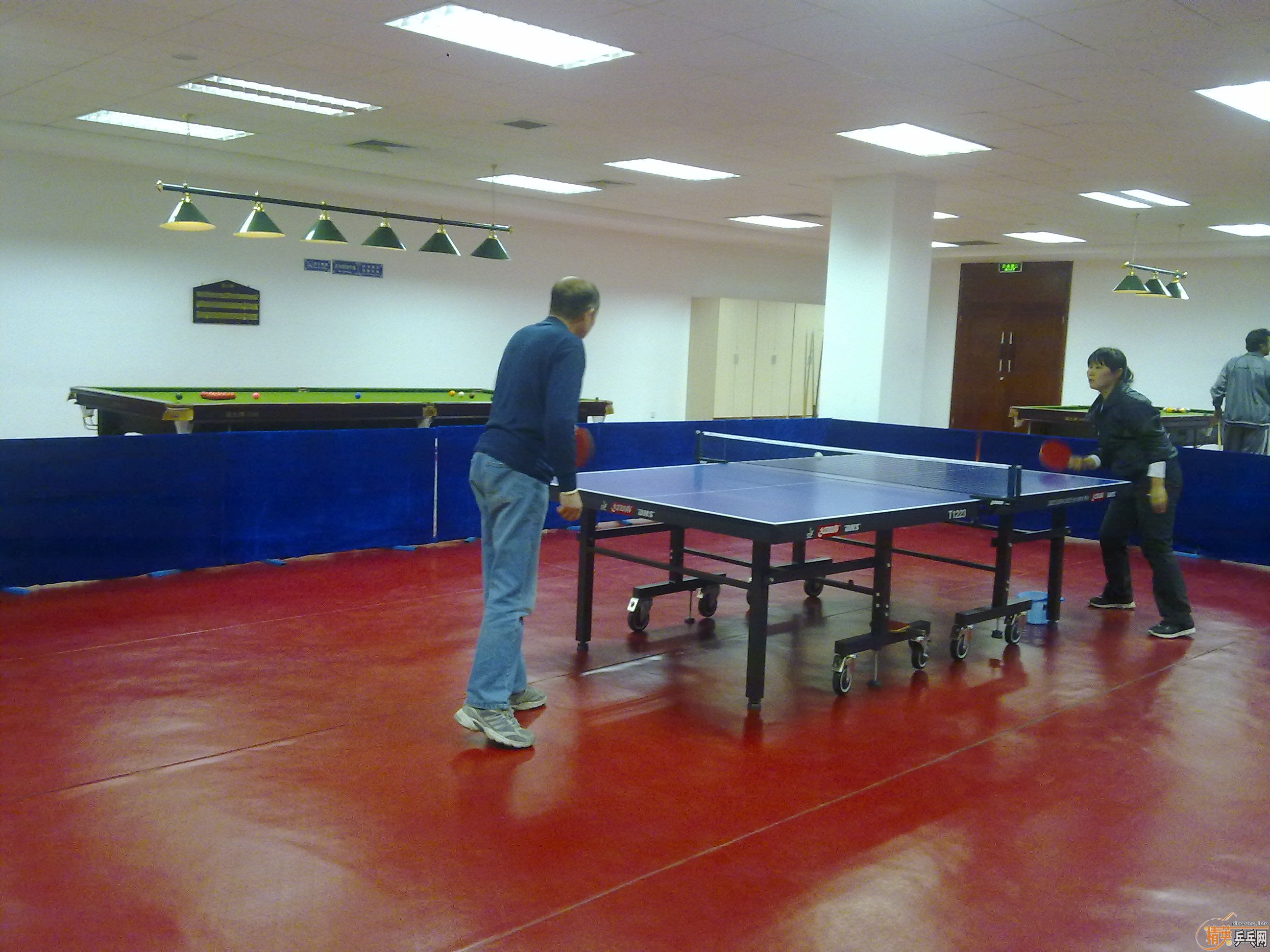 �����ֵ���ݣ����������������