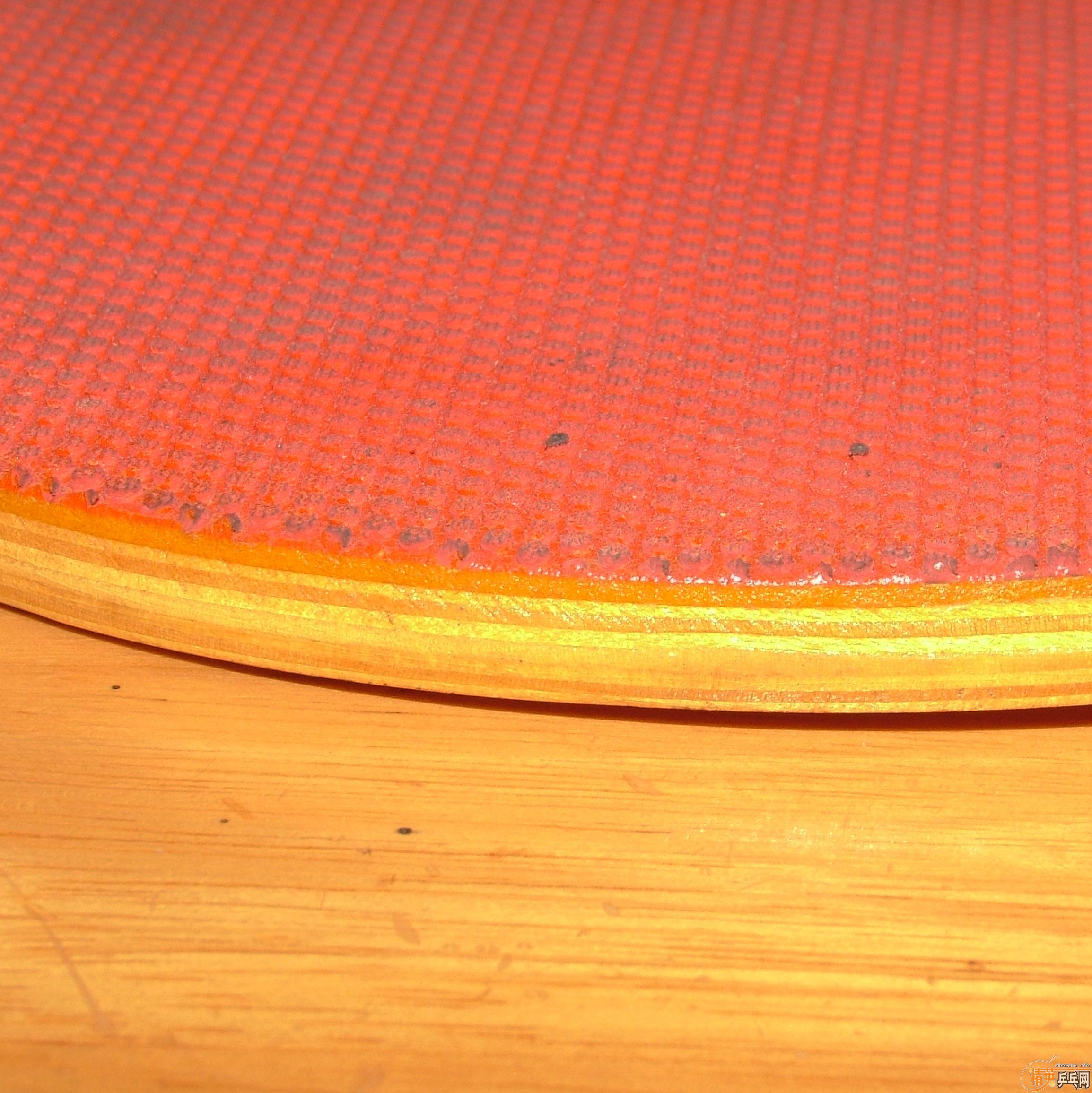 ��������ƹ��������