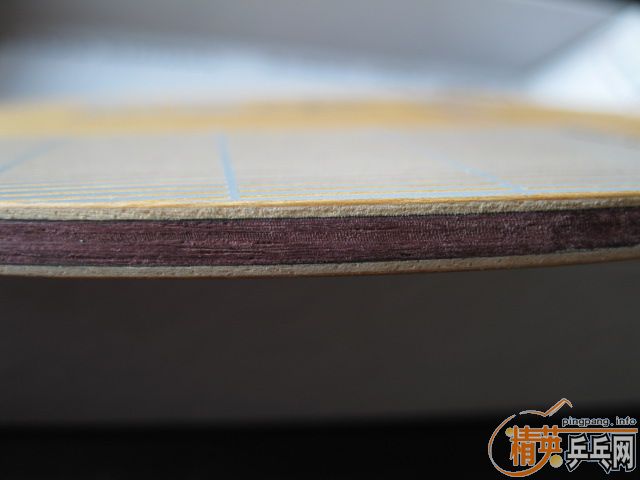 ֧�������޻���2�������ȶ���