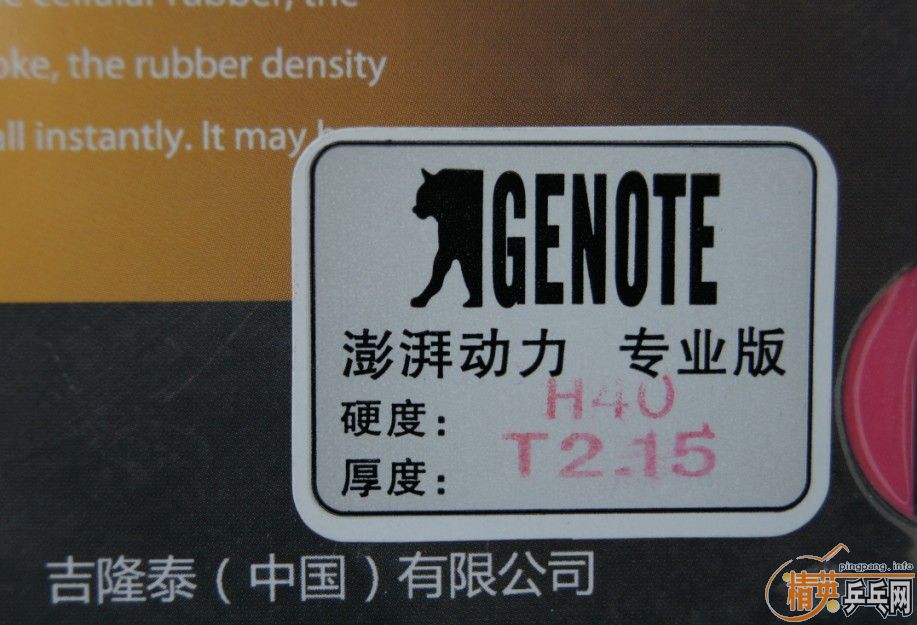 ֧�������޻���2�������ȶ���