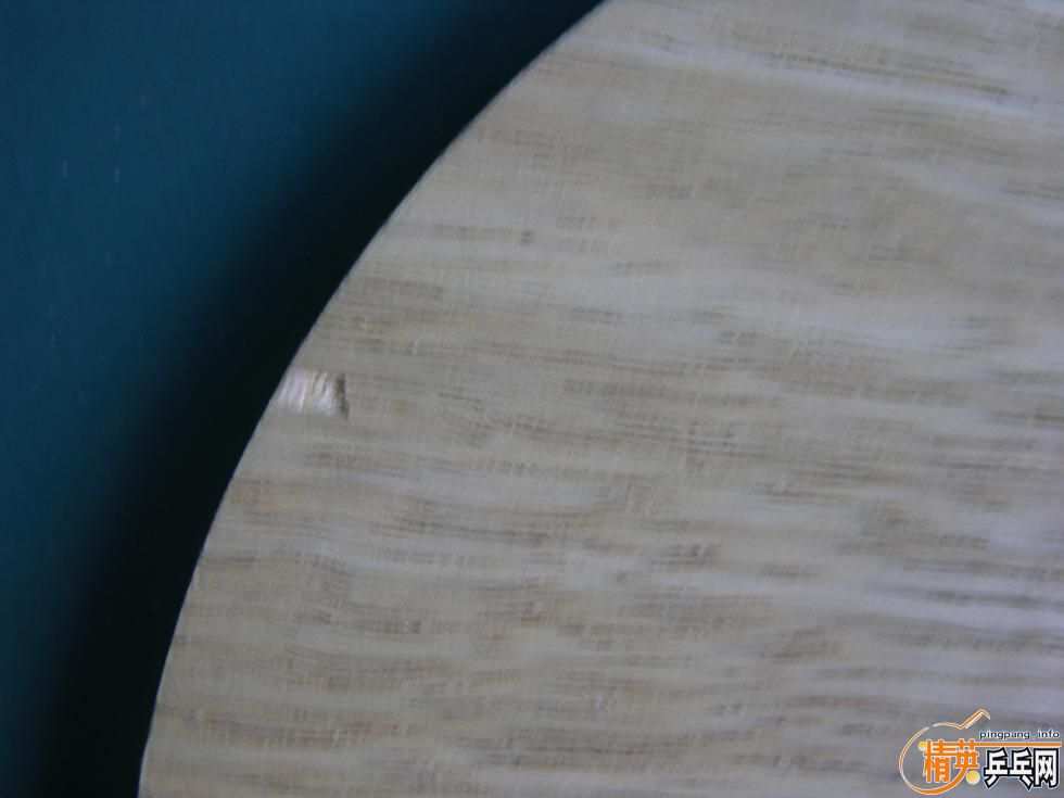 �س��л�TO��220Ԫ�����ʣ�֧����