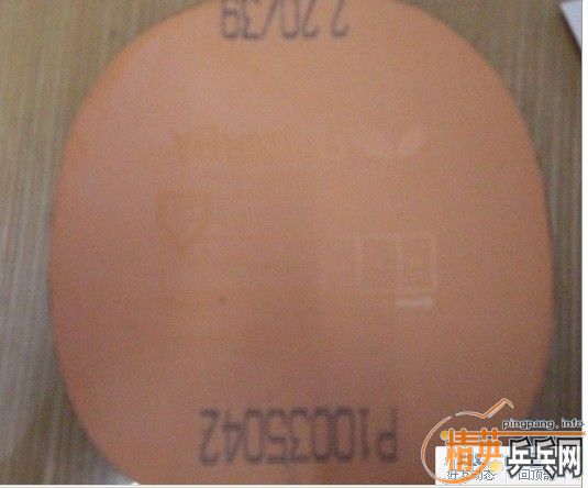 9.8�� ����ŵ��fl  ��ͬ��39����� 200����