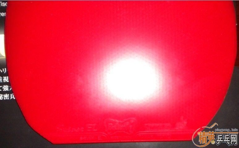 ֧������÷��FL����5FL��EL��NEO����