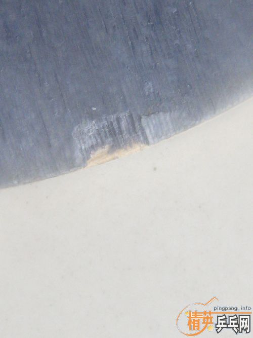 ƷĿų240кӺ֤
