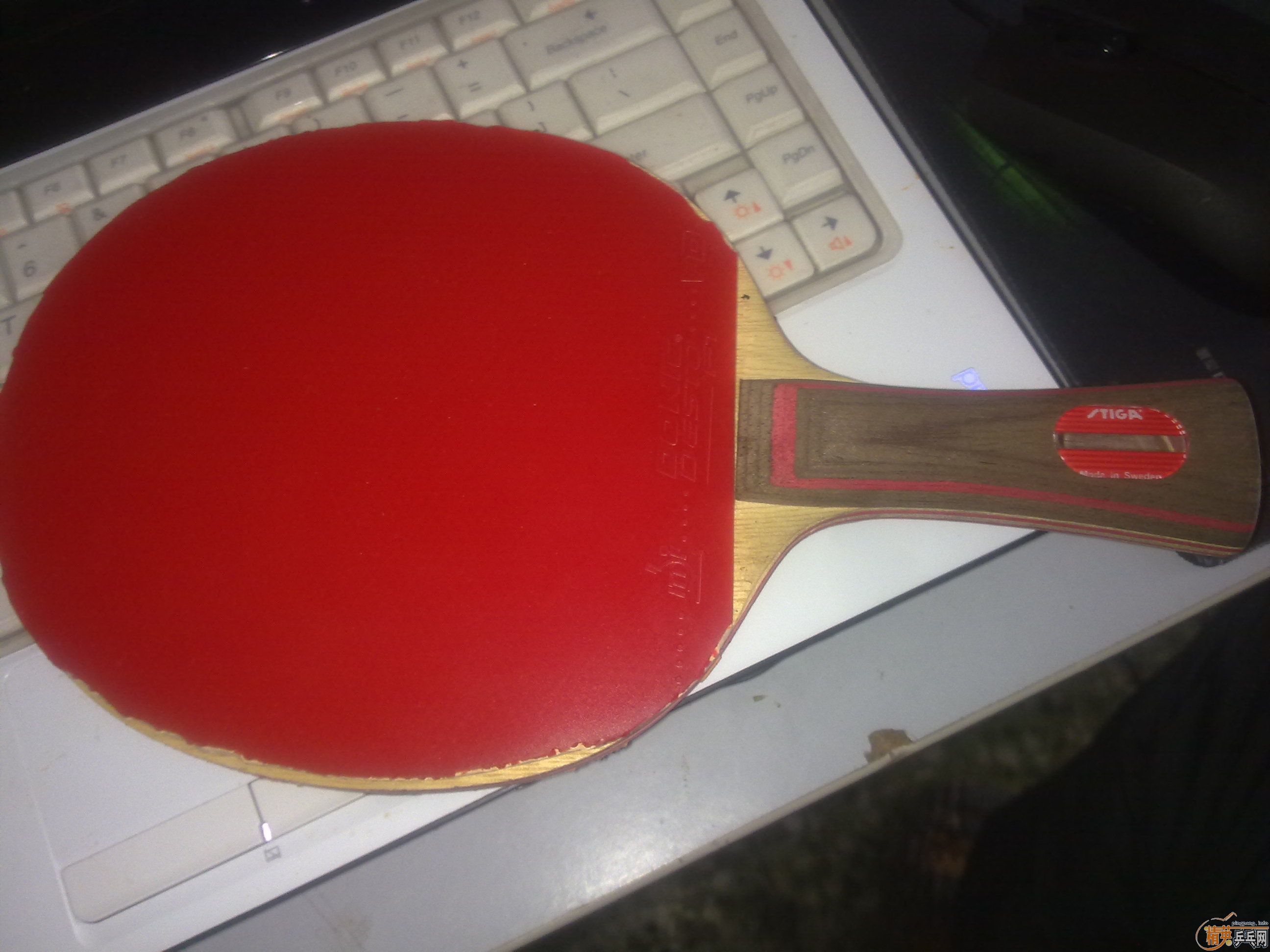 �������ˮ��STIGA CL WRB+ʡ��+donic F1