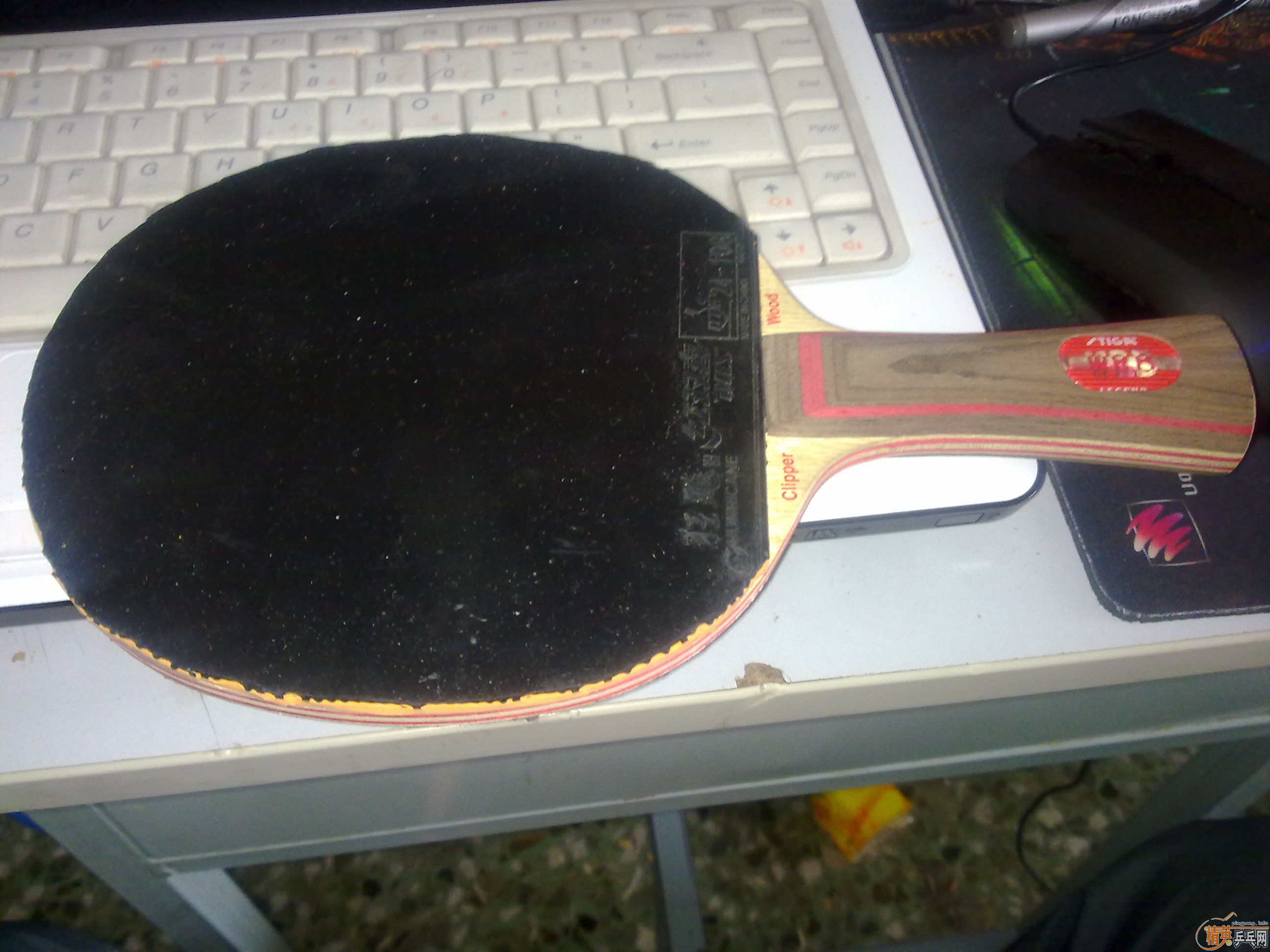 �������ˮ��STIGA CL WRB+ʡ��+donic F1