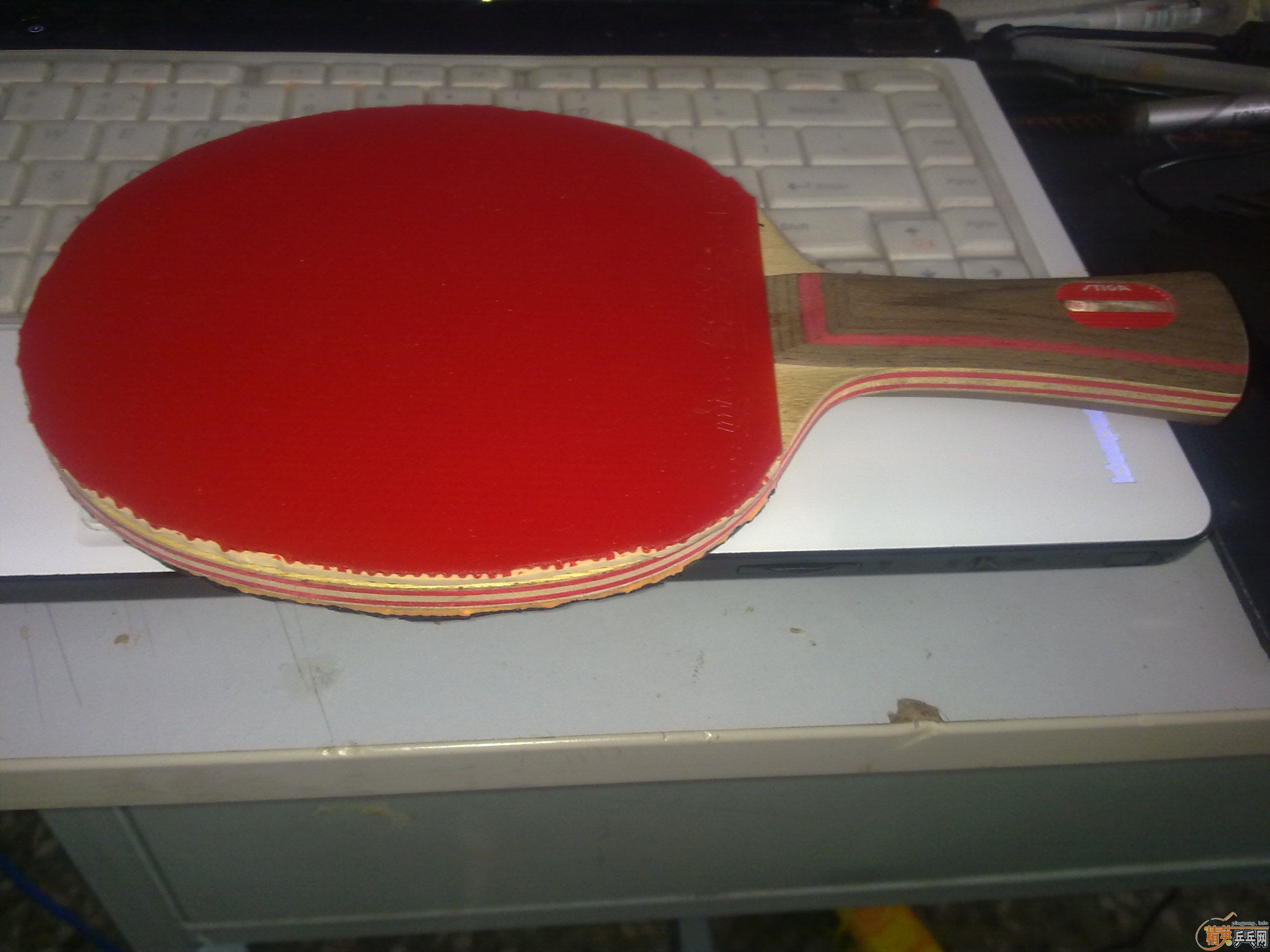 �������ˮ��STIGA CL WRB+ʡ��+donic F1