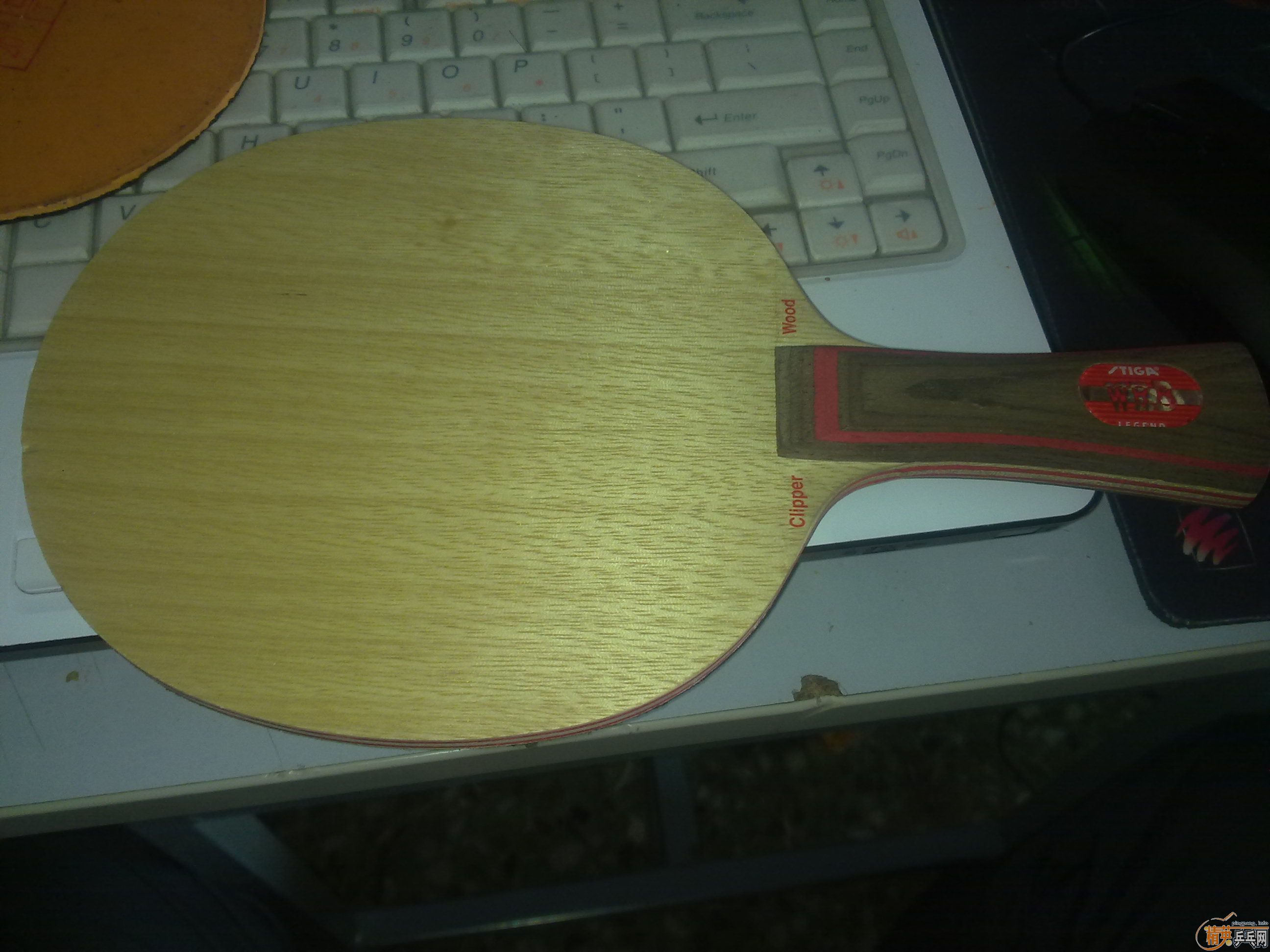 �������ˮ��STIGA CL WRB+ʡ��+donic F1