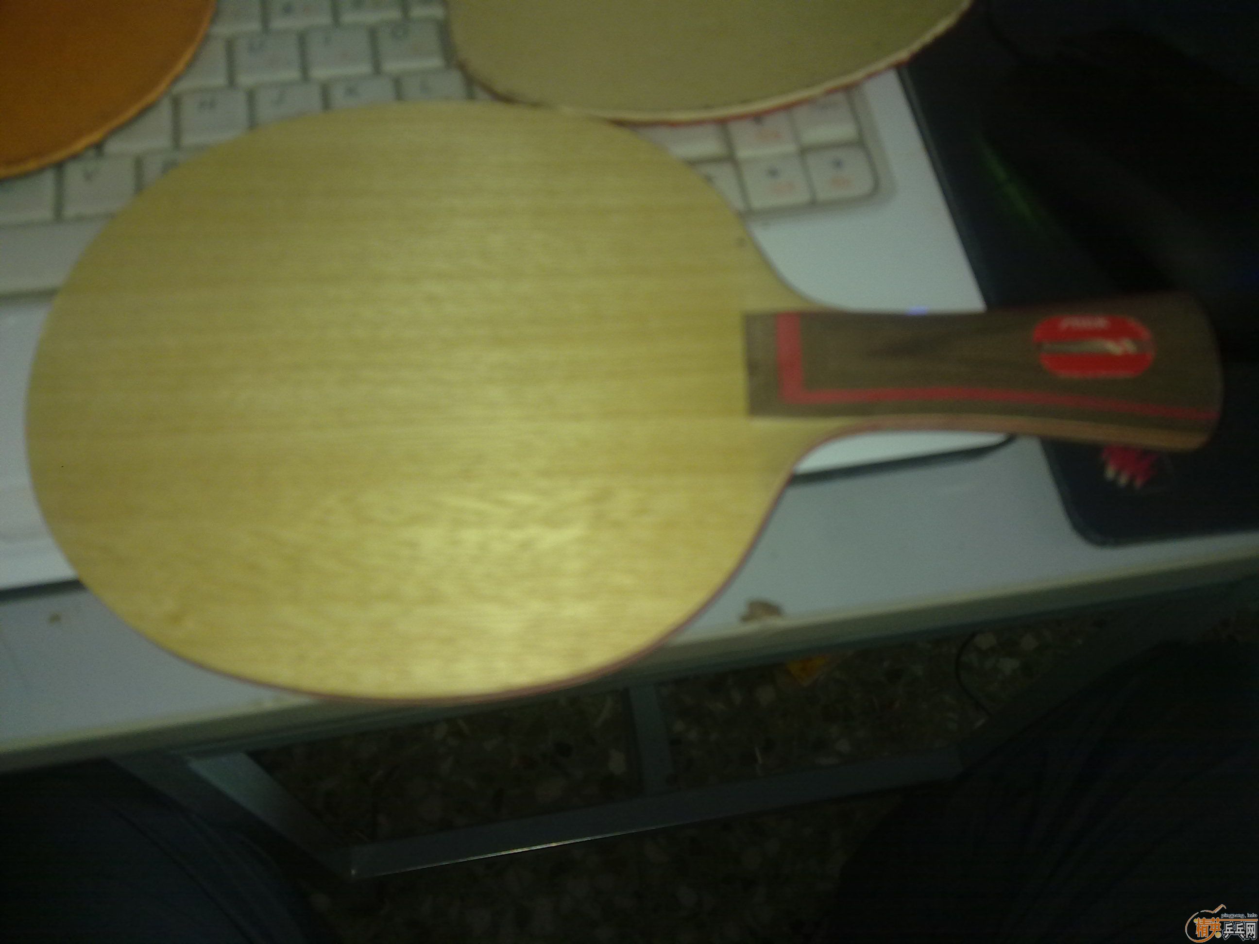 �������ˮ��STIGA CL WRB+ʡ��+donic F1