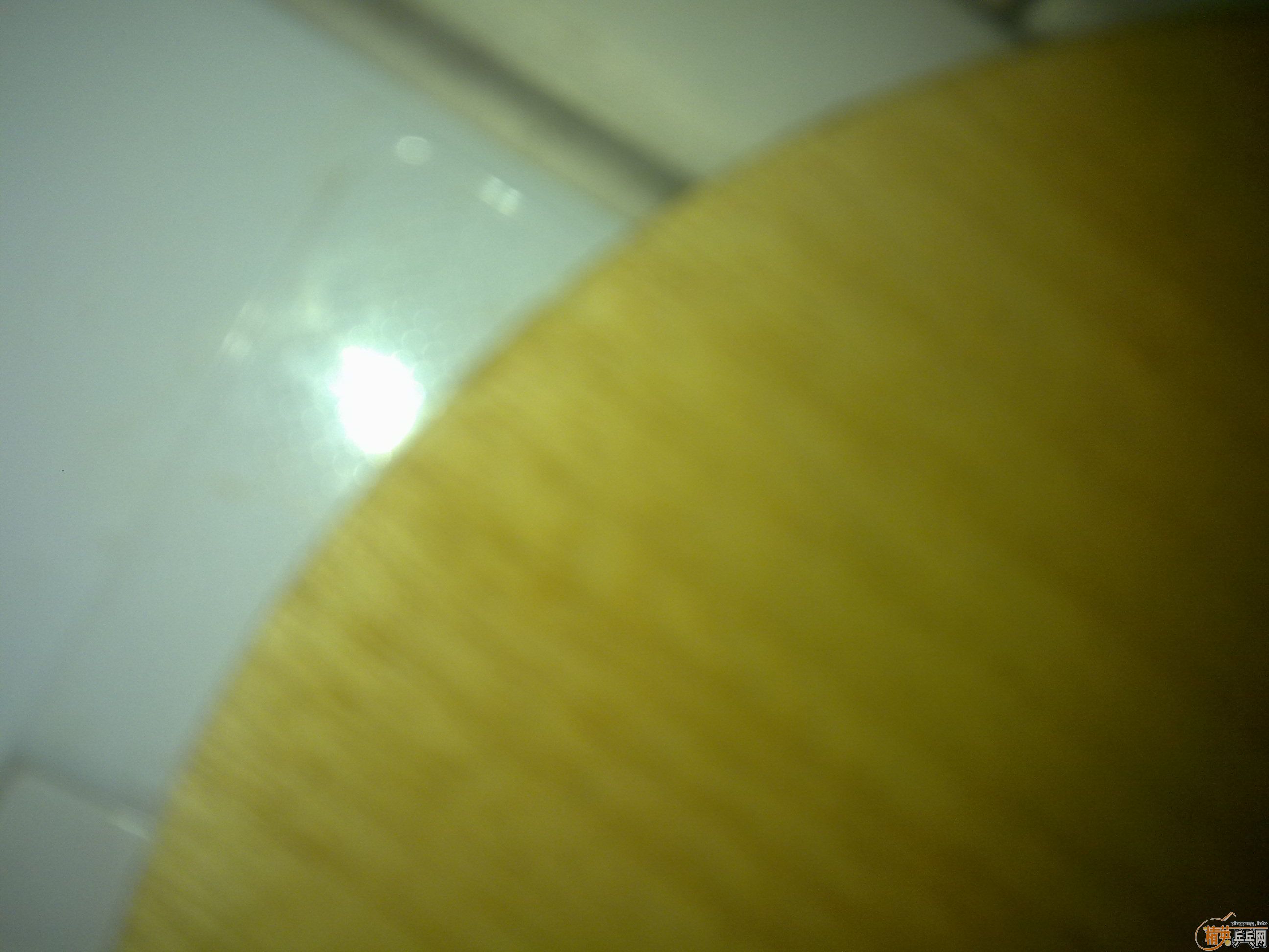 �������ˮ��STIGA CL WRB+ʡ��+donic F1