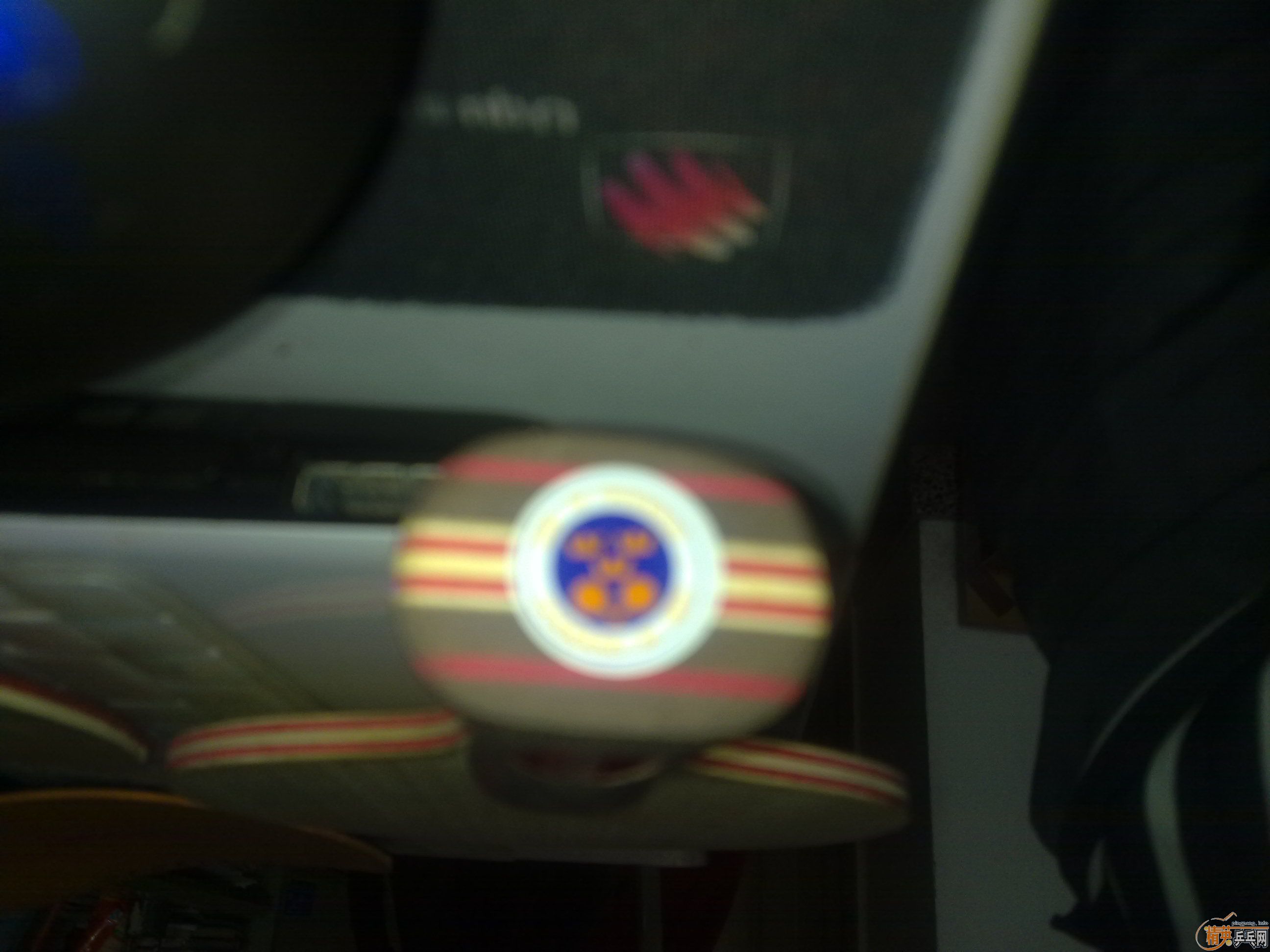 �������ˮ��STIGA CL WRB+ʡ��+donic F1