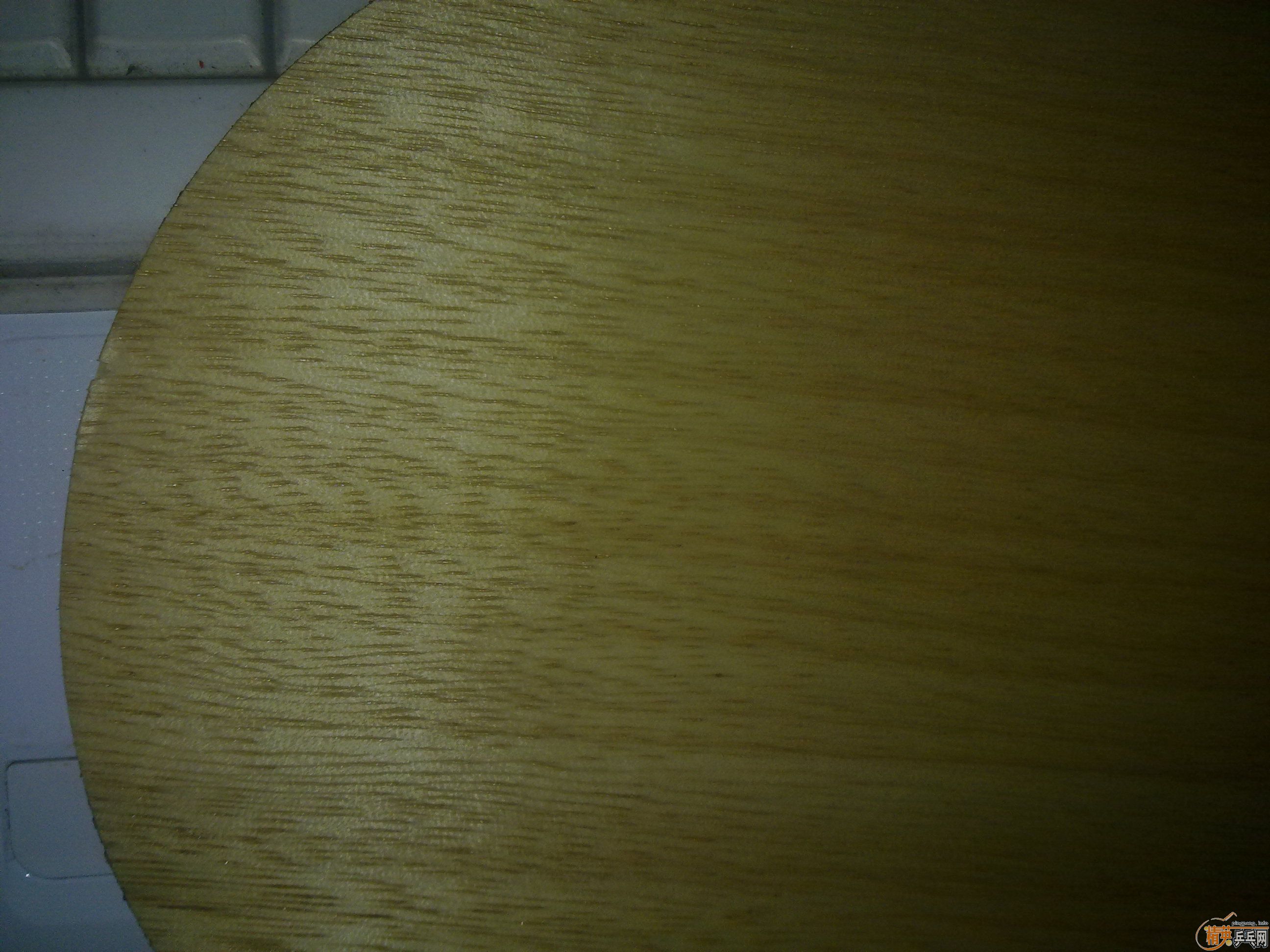 �������ˮ��STIGA CL WRB+ʡ��+donic F1