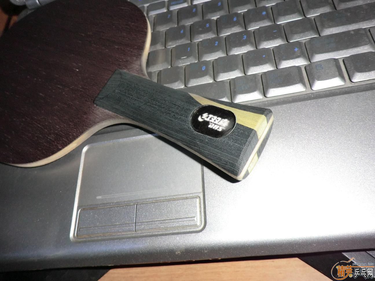 ����������ṹ5�У�һ�Ѻ�ɫ��Ƥ����֧���������������