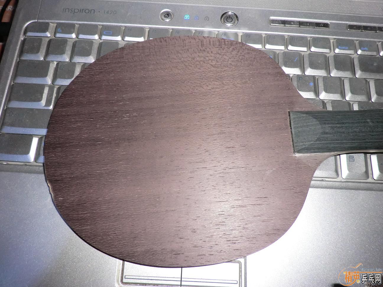 ����������ṹ5�У�һ�Ѻ�ɫ��Ƥ����֧���������������