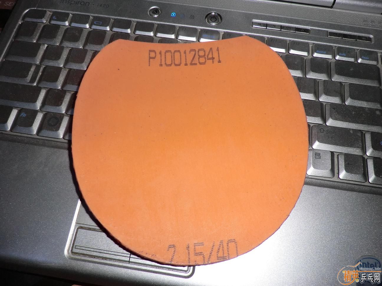 ����������ṹ5�У�һ�Ѻ�ɫ��Ƥ����֧���������������