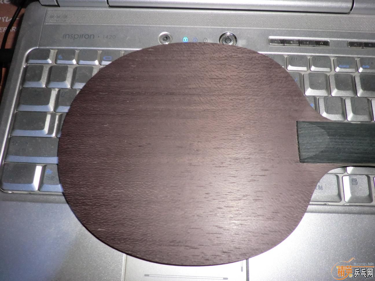 ����������ṹ5�У�һ�Ѻ�ɫ��Ƥ����֧���������������