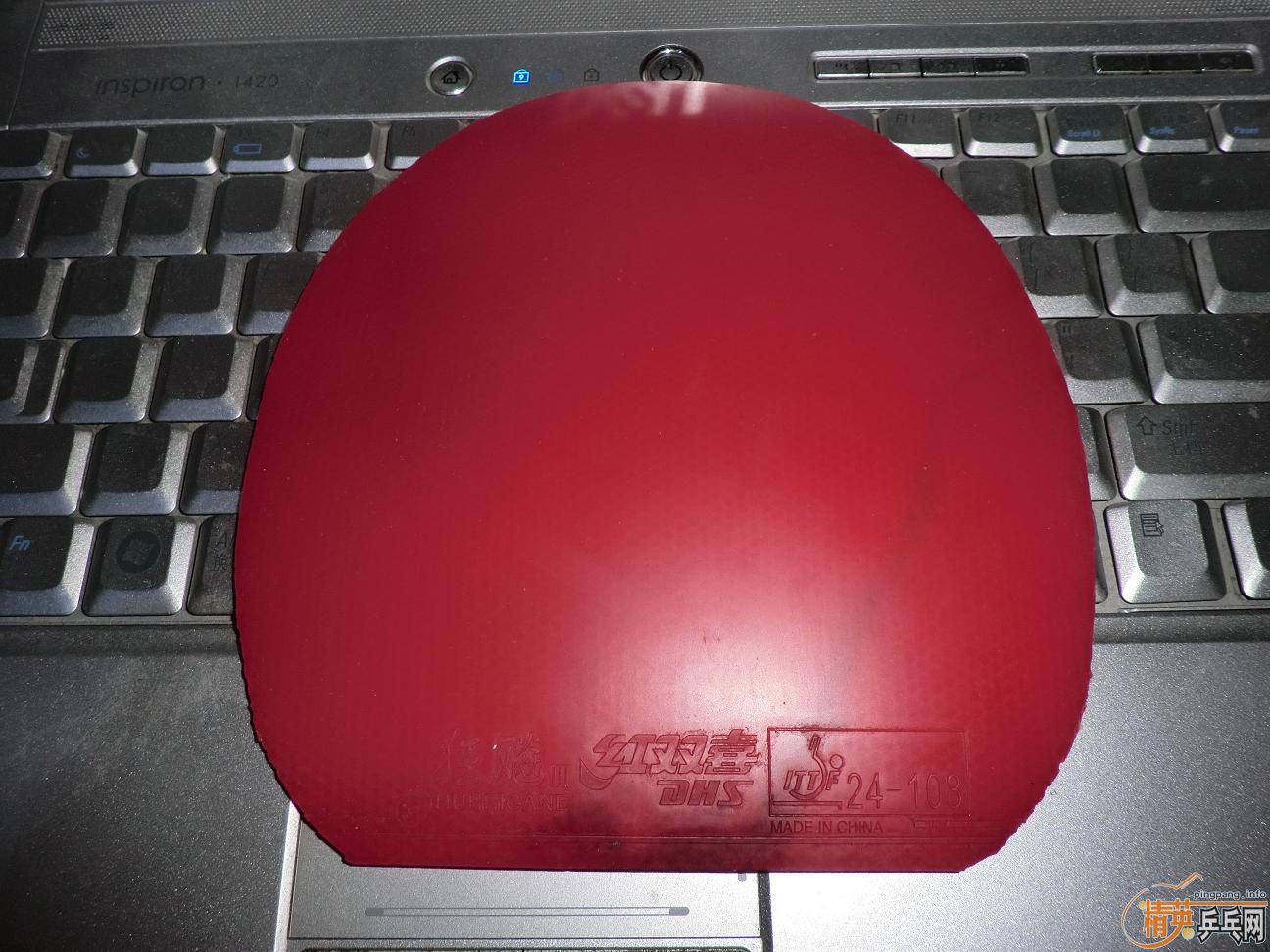 ����������ṹ5�У�һ�Ѻ�ɫ��Ƥ����֧���������������