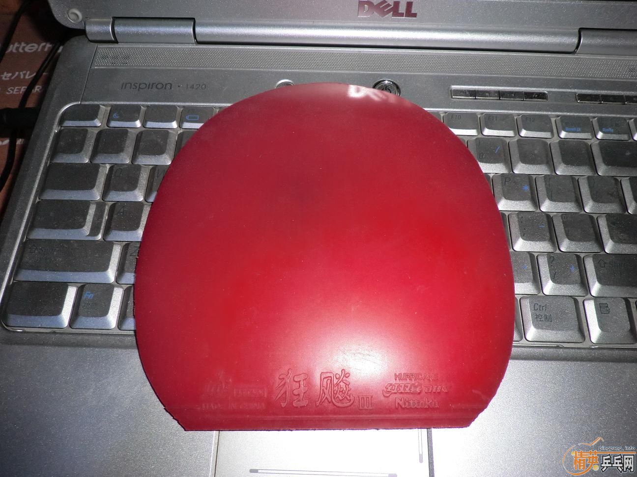 ����������ṹ5�У�һ�Ѻ�ɫ��Ƥ����֧���������������