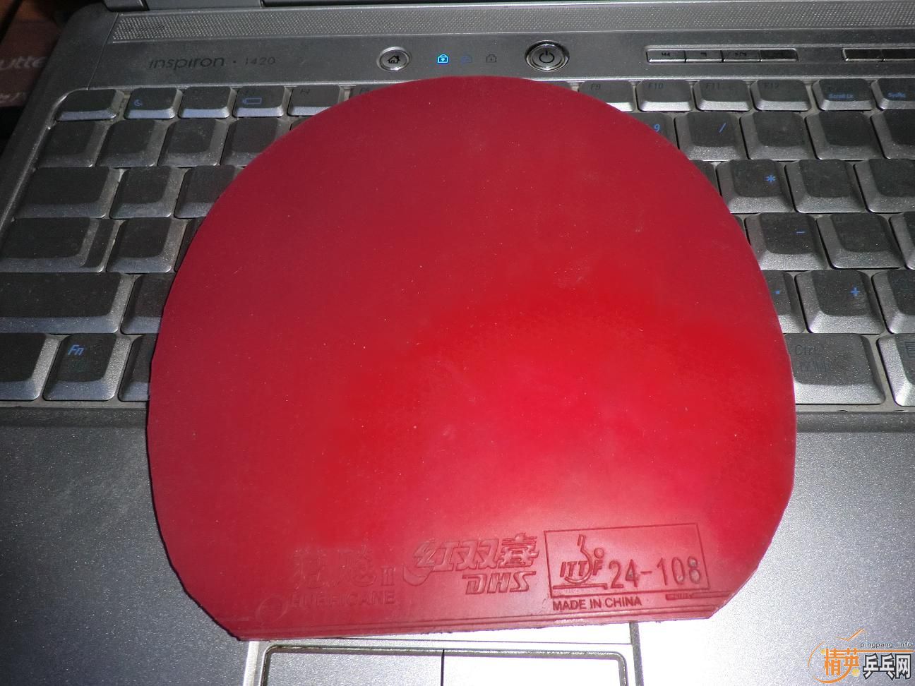 ����������ṹ5�У�һ�Ѻ�ɫ��Ƥ����֧���������������