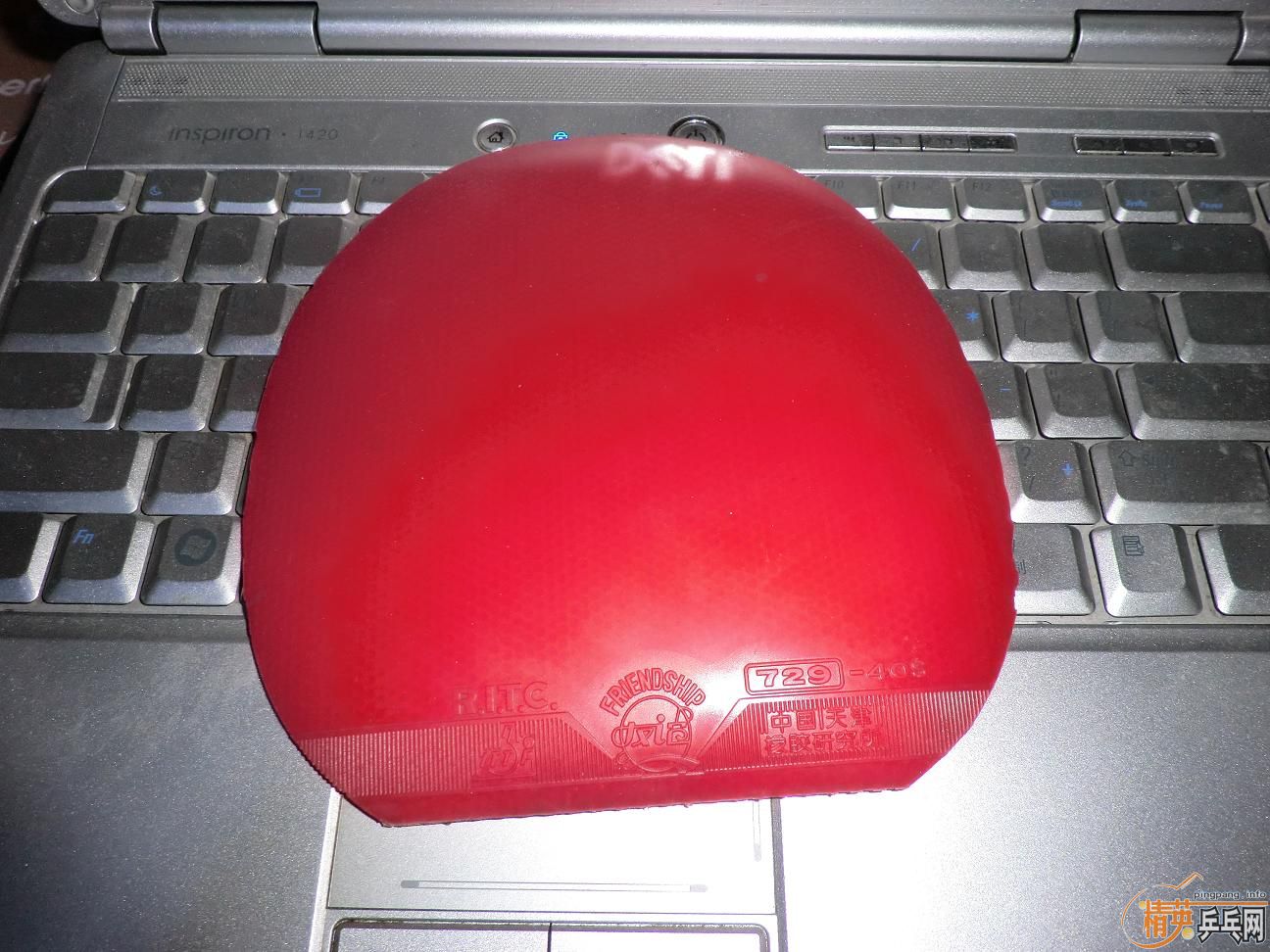 ����������ṹ5�У�һ�Ѻ�ɫ��Ƥ����֧���������������