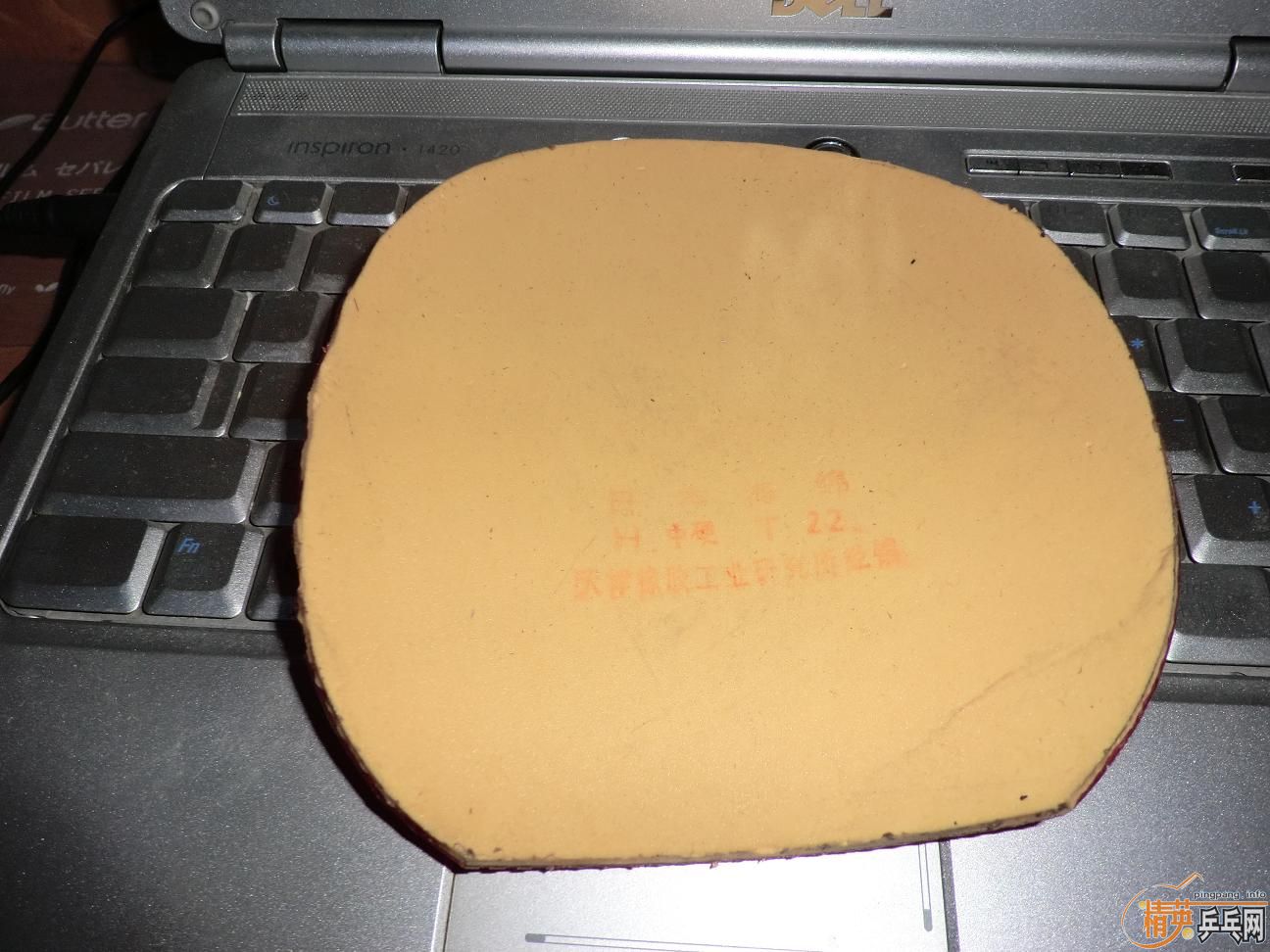 ����������ṹ5�У�һ�Ѻ�ɫ��Ƥ����֧���������������