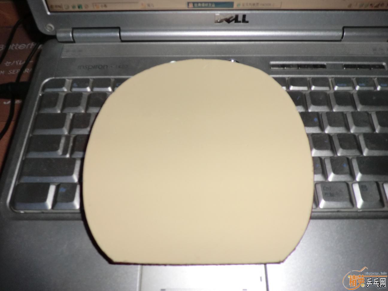 ����������ṹ5�У�һ�Ѻ�ɫ��Ƥ����֧���������������