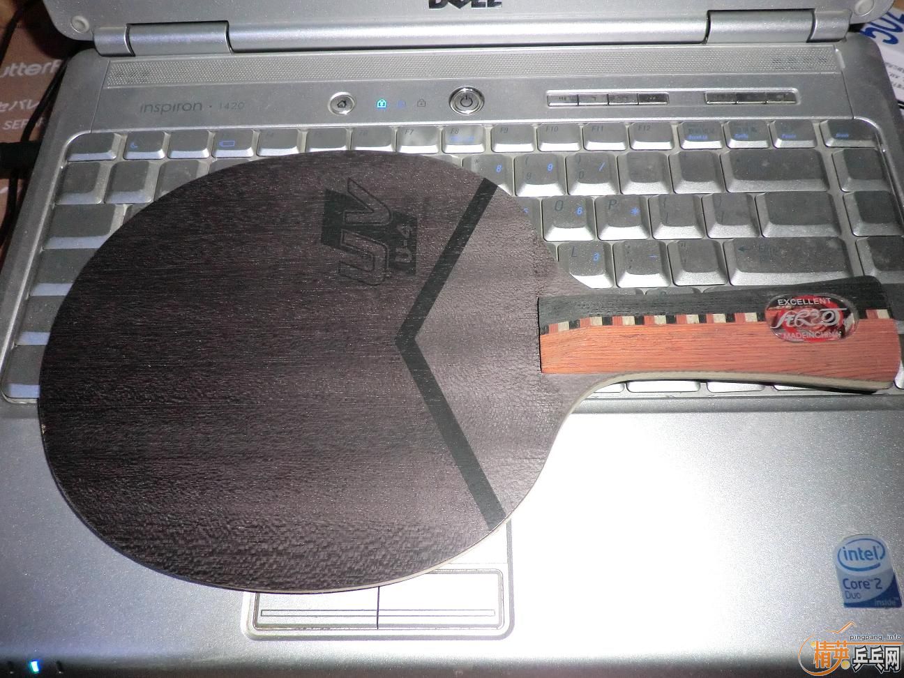 ����������ṹ5�У�һ�Ѻ�ɫ��Ƥ����֧���������������