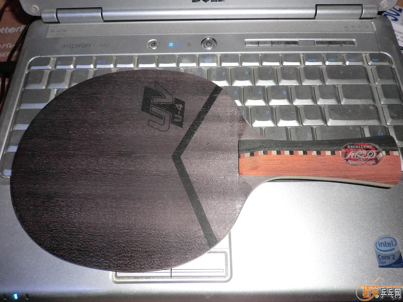 ����������ṹ5�У�һ�Ѻ�ɫ��Ƥ����֧���������������