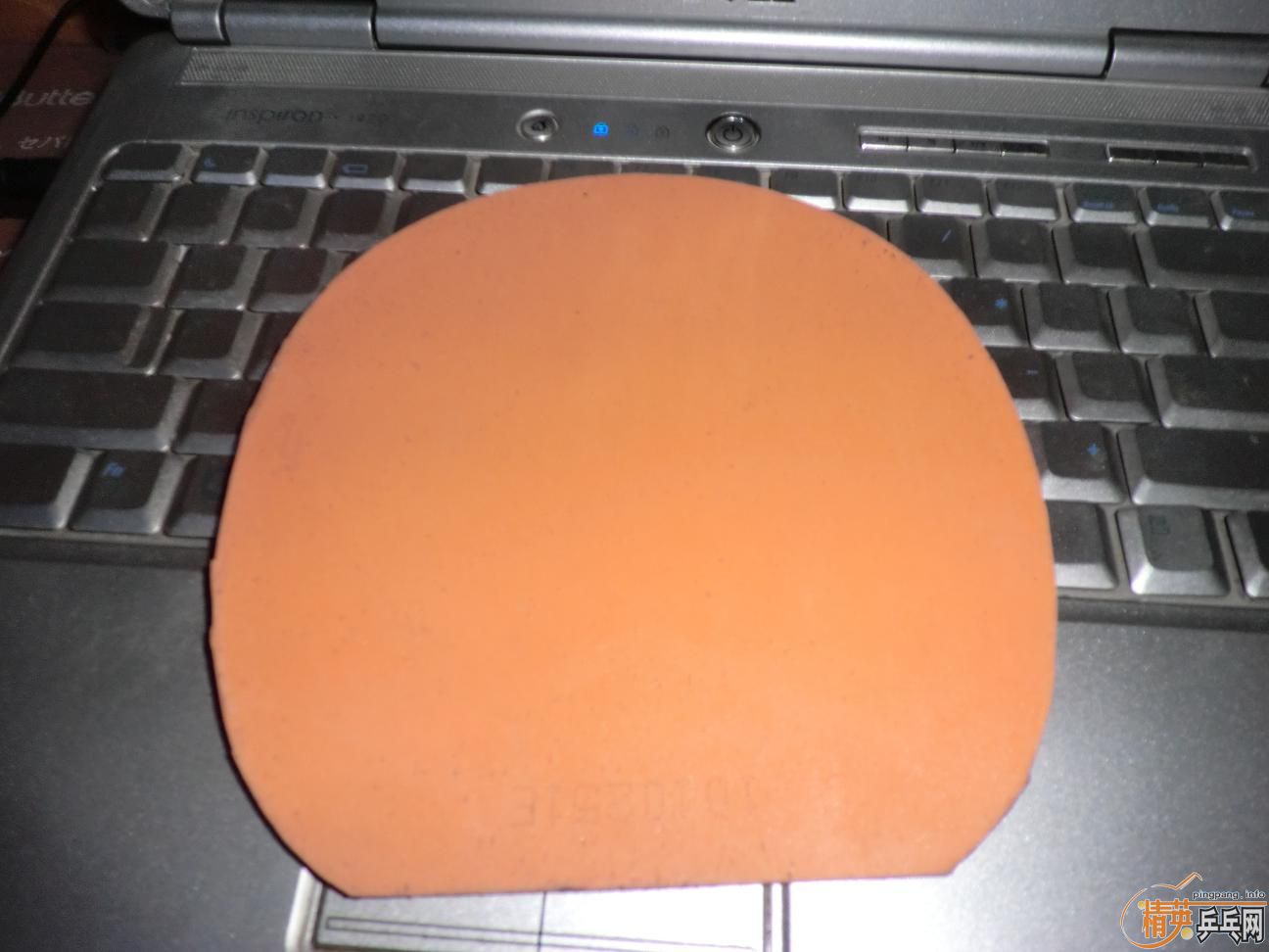 ����������ṹ5�У�һ�Ѻ�ɫ��Ƥ����֧���������������