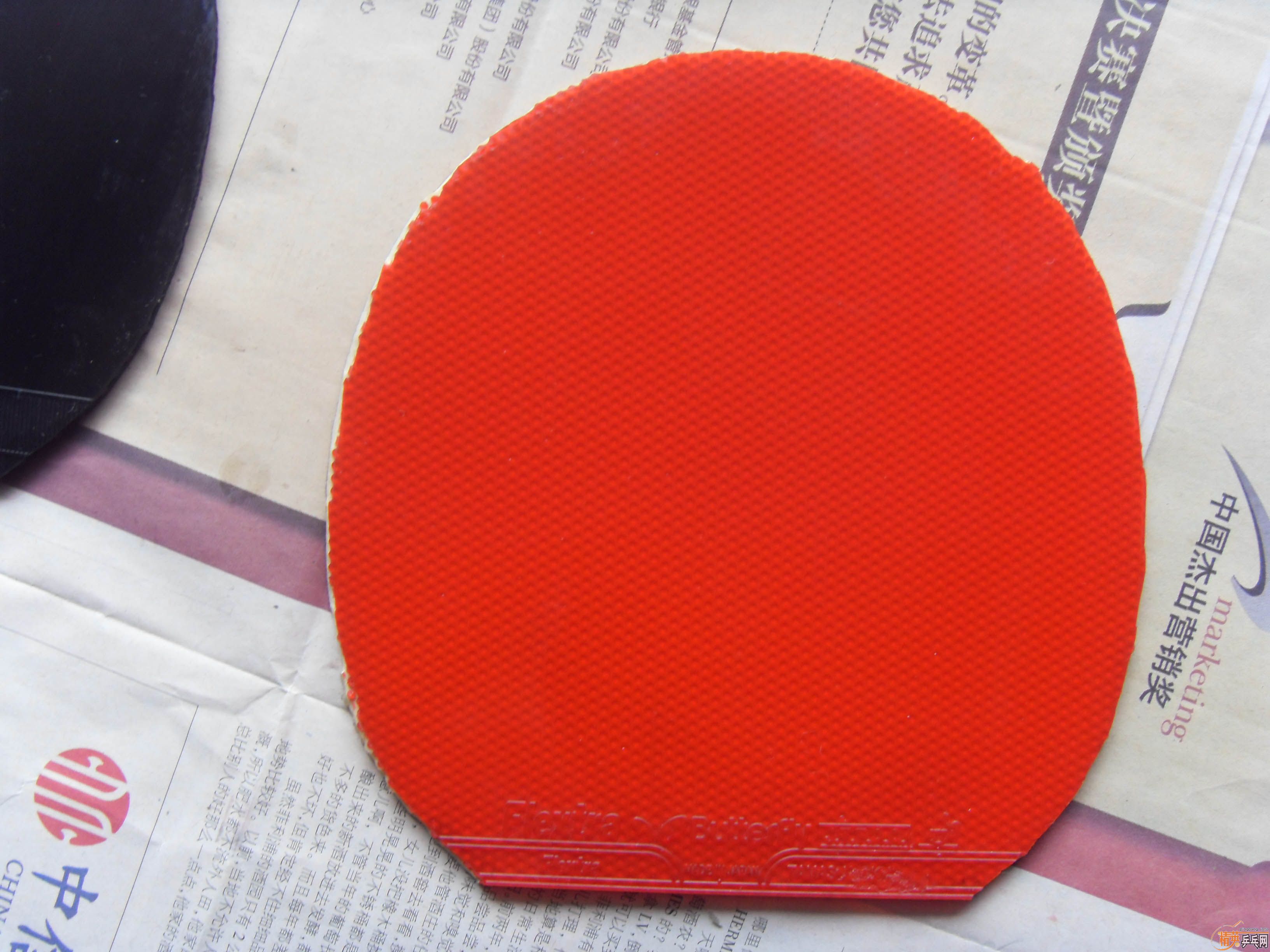 ���������� 729-8+С������������