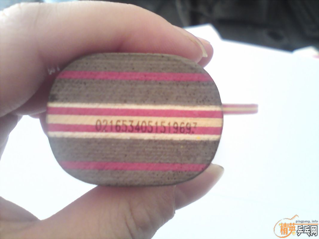 ���л�9.9XIN���CL-CRһ�飬300����������ɫ��ͼ����Ͼ��������β��ͼ��