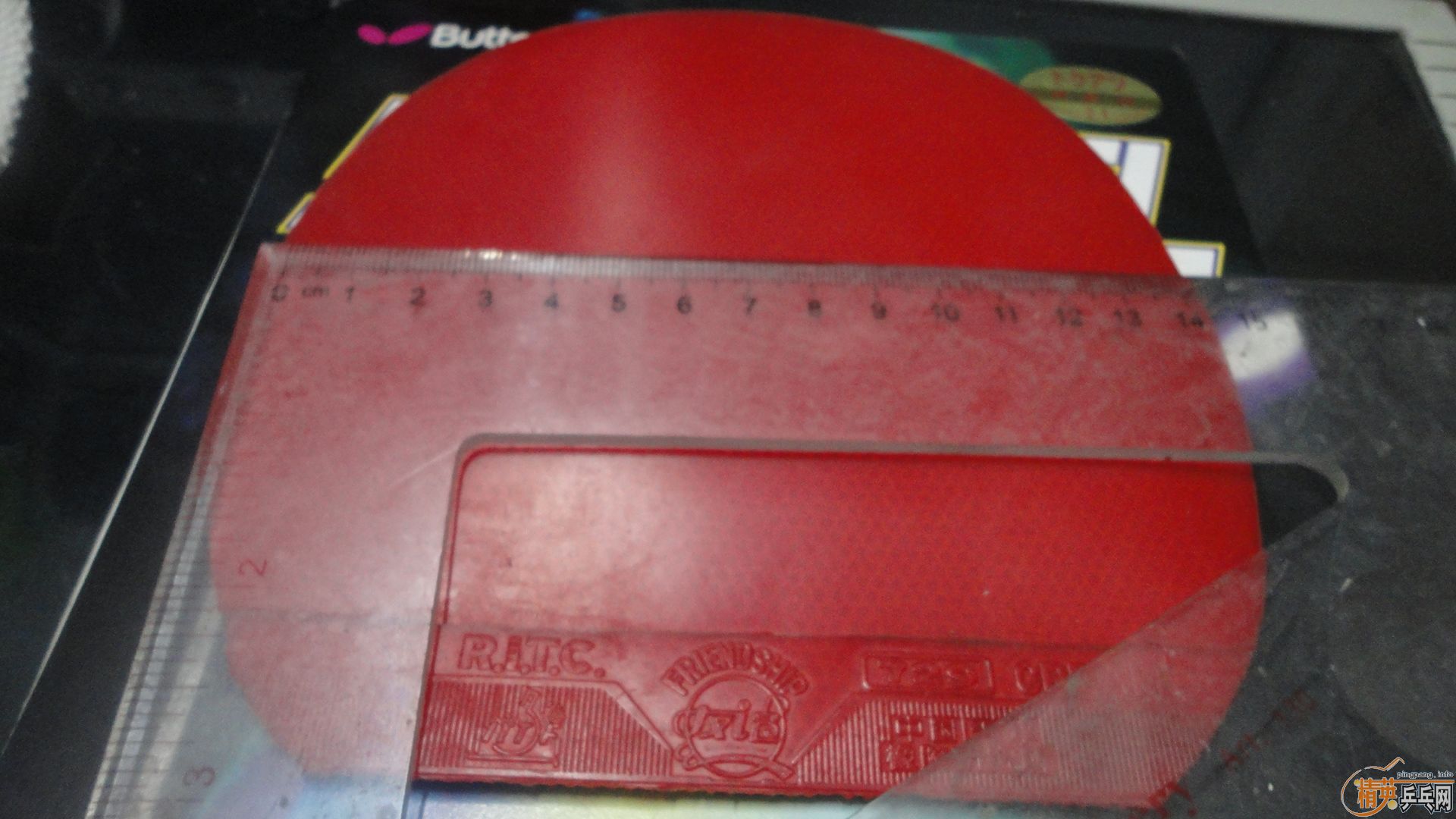 �����ý�Ƥ��Ҳ��