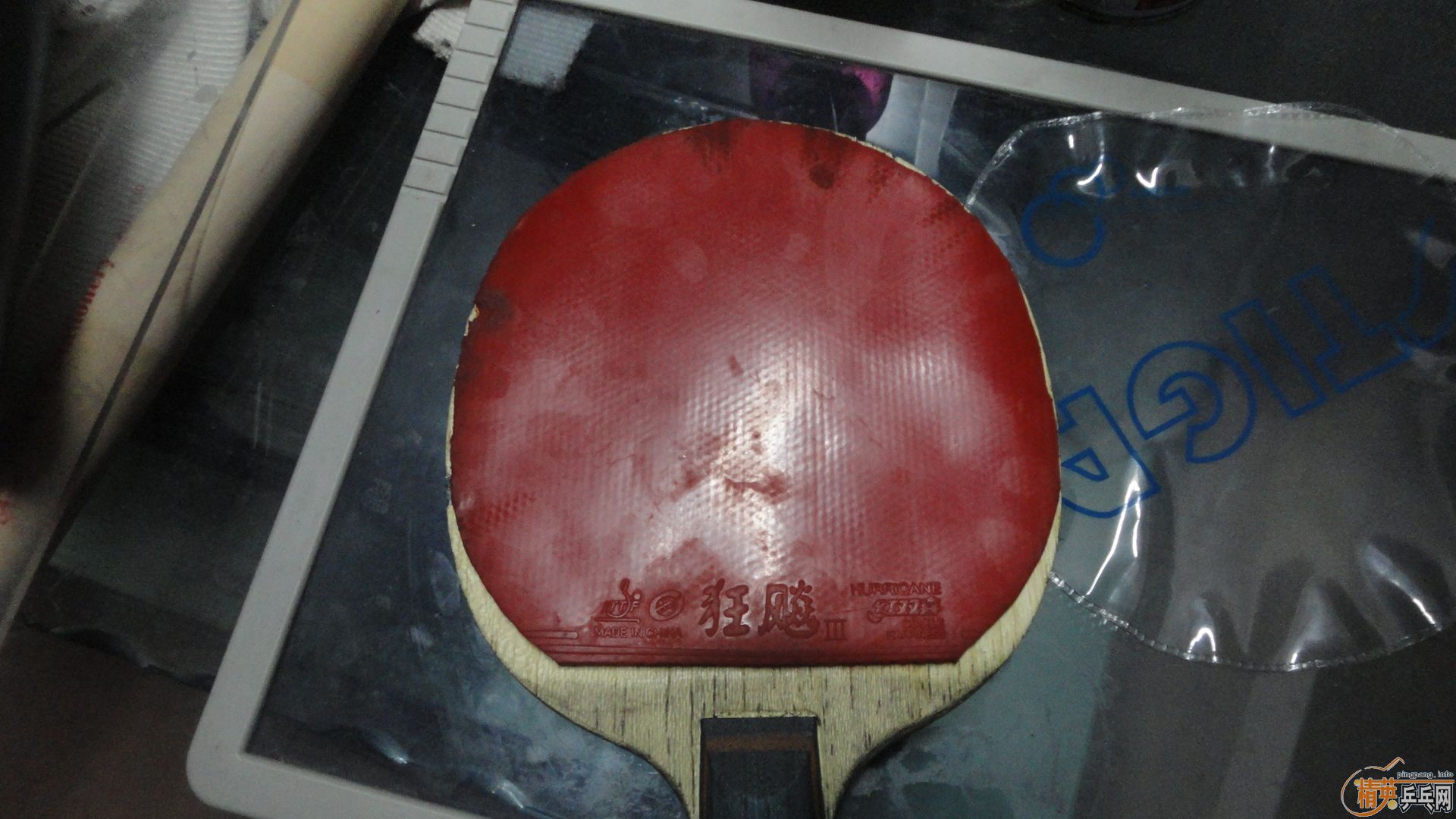 �����ý�Ƥ��Ҳ��