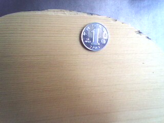 ��������̼����