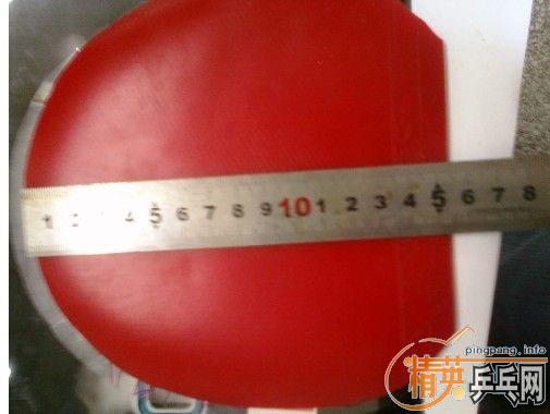 ͦ��GRIP-S��ɫ